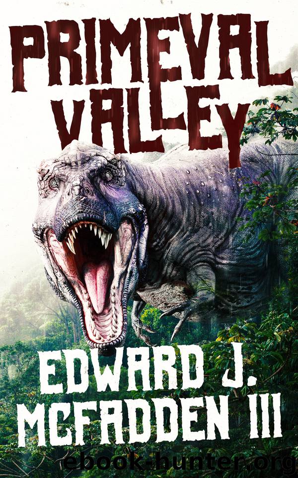 Primeval Valley by McFadden III Edward J