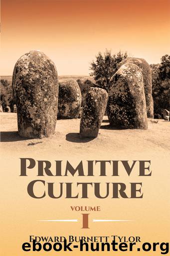 Primitive Culture Volume I by Tylor Edward Burnett;