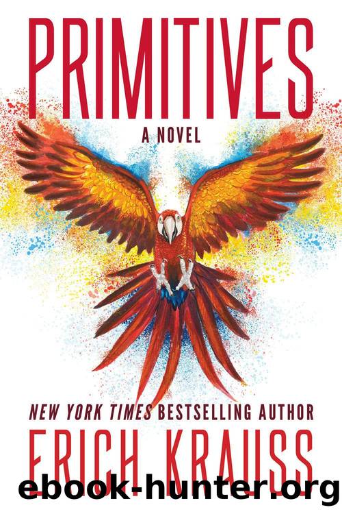 Primitives by Erich Krauss