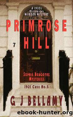 Primrose Hill: A 1920s Historical Murder Mystery (Sophie Burgoyne Mysteries Book 5) by G J Bellamy