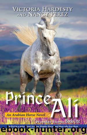 Prince Ali by Victoria Hardesty & Nancy Perez