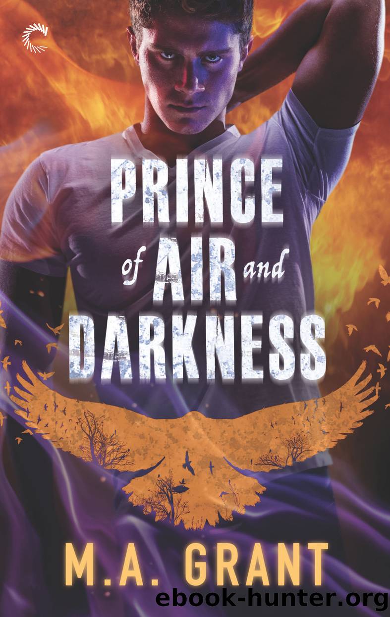 Prince of Air and Darkness--A Gay Fantasy Romance by M.A. Grant