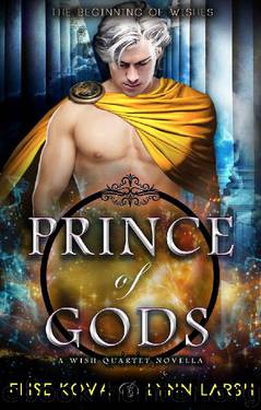 Prince of Gods: A Wish Quartet Novella (Age of Magic: Wish Quartet) by Elise Kova & Lynn Larsh