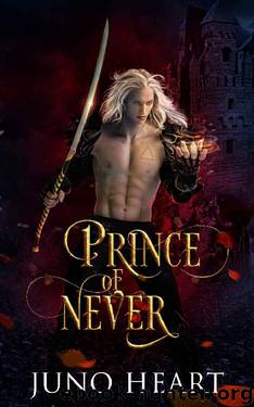 Prince of Never: A Fae Romance (Black Blood Fae Book 1) by Juno Heart
