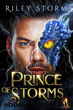 Prince of Storms (4 Princes Book 2) by Riley Storm