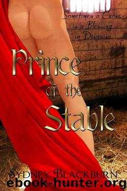 Prince of the Stable by Sydney Blackburn