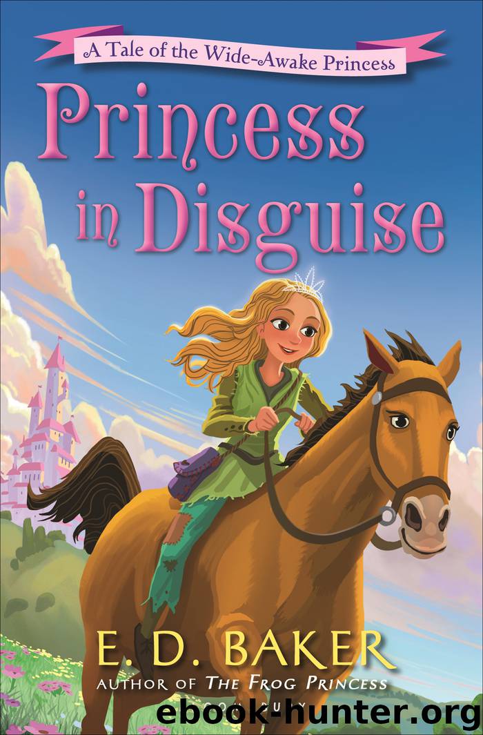 Princess in Disguise by E D Baker