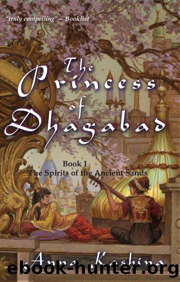 Princess of Dhagabad, The by Kashina Anna
