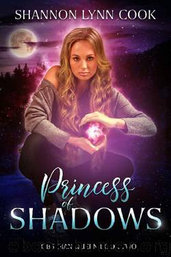 Princess of Shadows (Obsidian Queen Book 2) by Shannon Lynn Cook