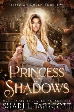 Princess of Shadows (Obsidian Queen Book 2) by Shari L. Tapscott