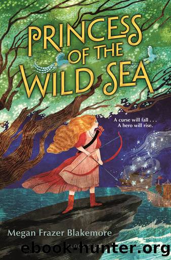 Princess of the Wild Sea by Megan Frazer Blakemore