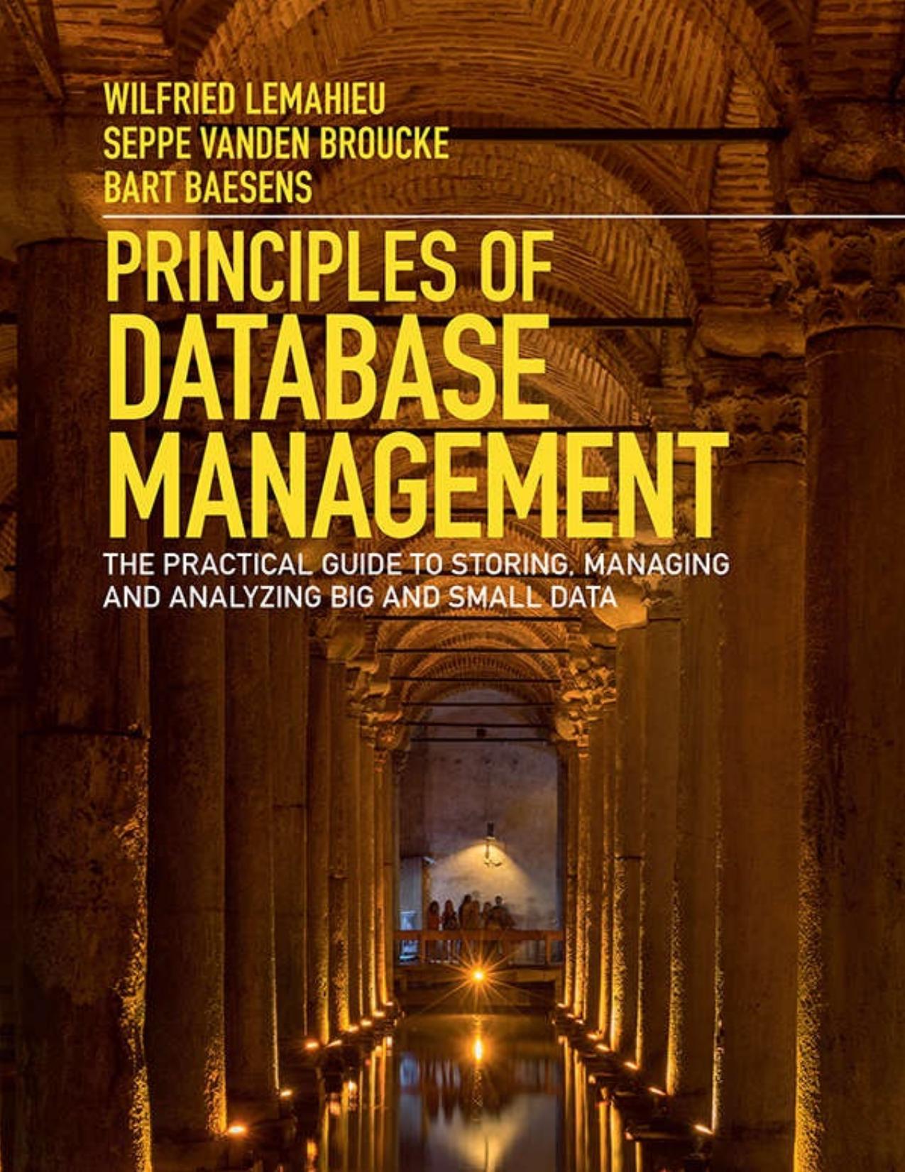 Principles of Database Management: The Practical Guide to Storing, Managing and Analyzing Big and Small Data by Wilfried Lemahieu & Seppe vanden Broucke & Bart Baesens