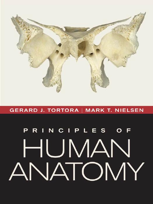 Principles of Human Anatomy by Gerard J. Tortora Mark Nielsen
