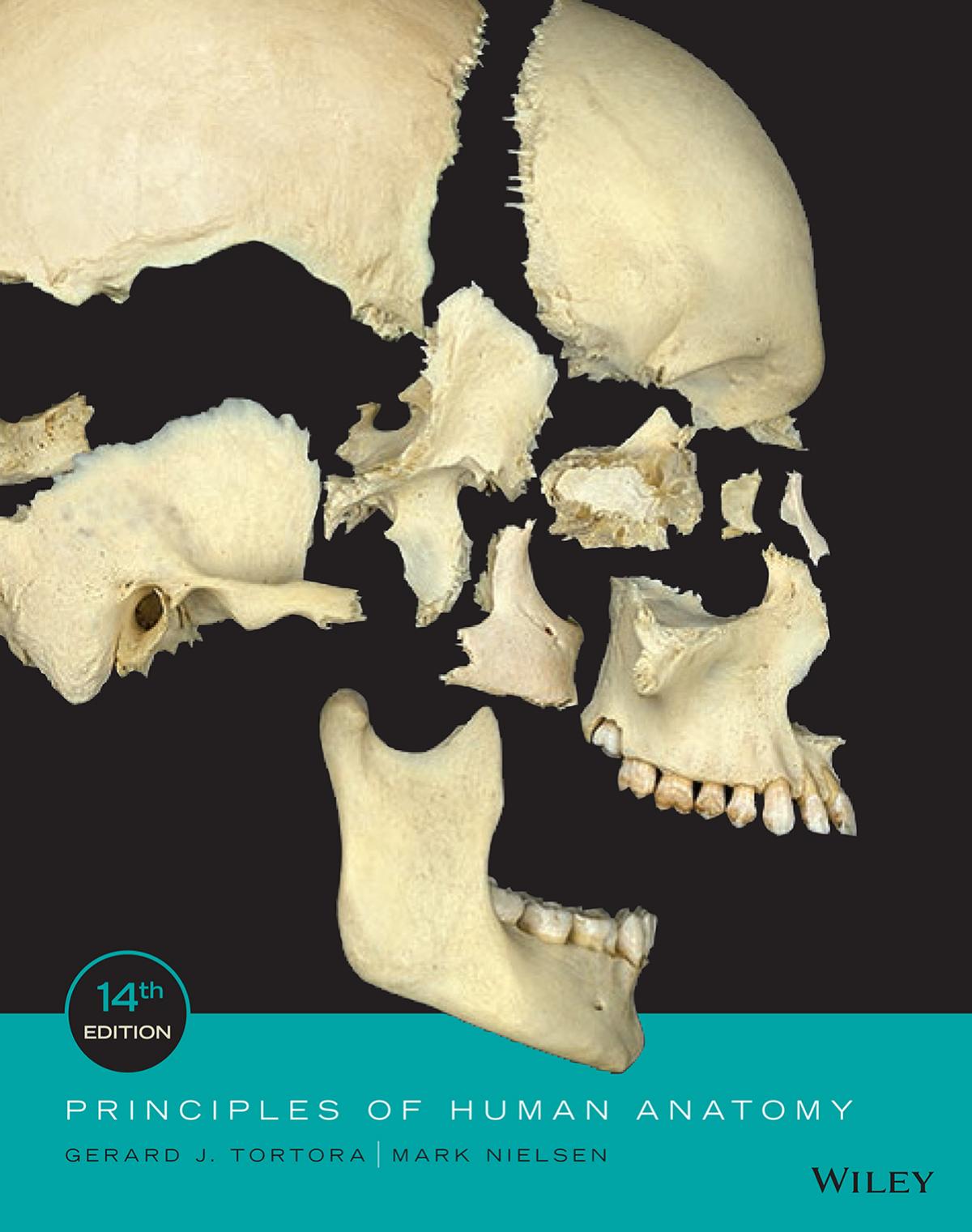 Principles of Human Anatomy, 14th Edition by Unknow