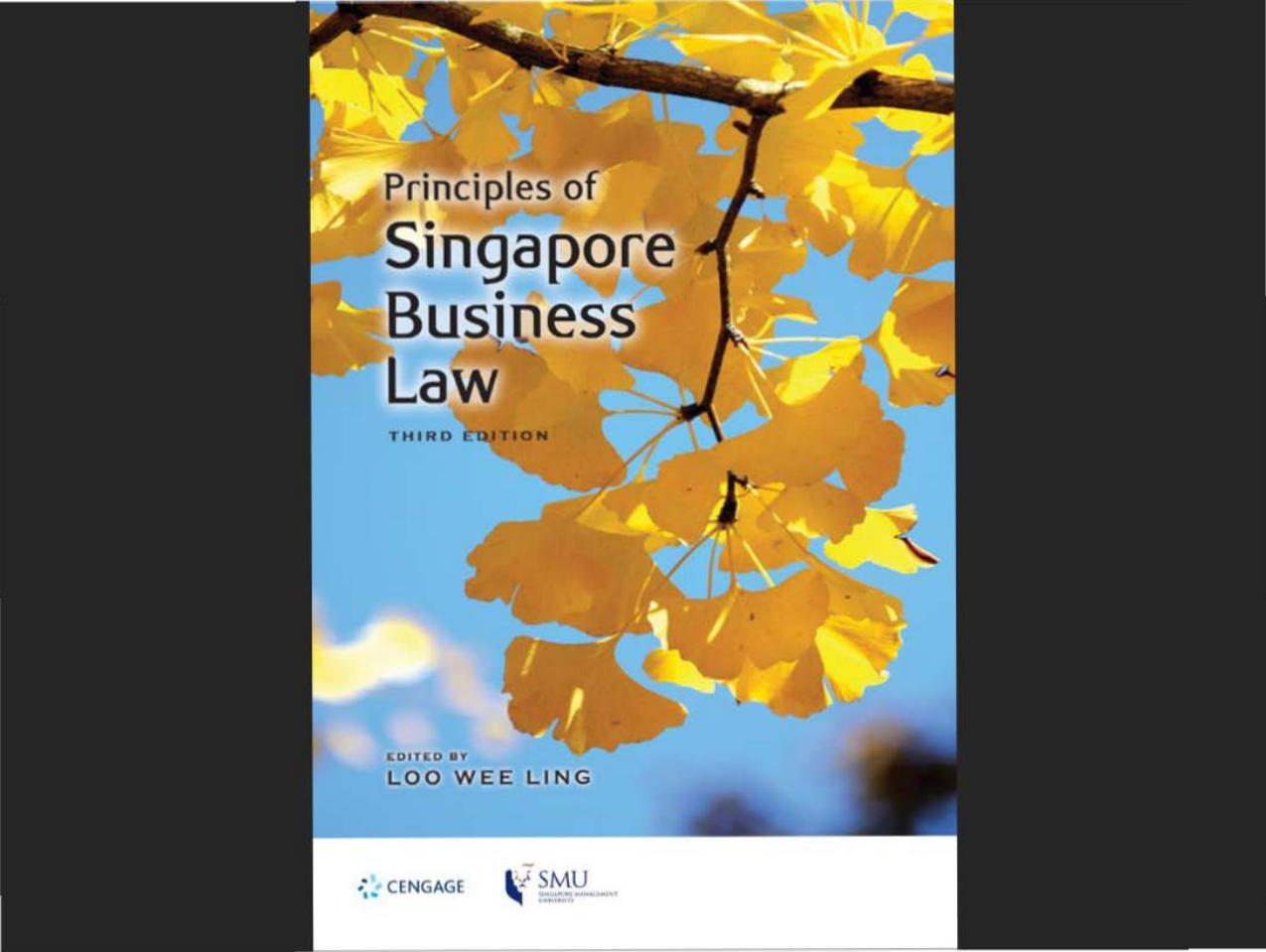 Principles of Singapore Business Law by Loo Wee Ling