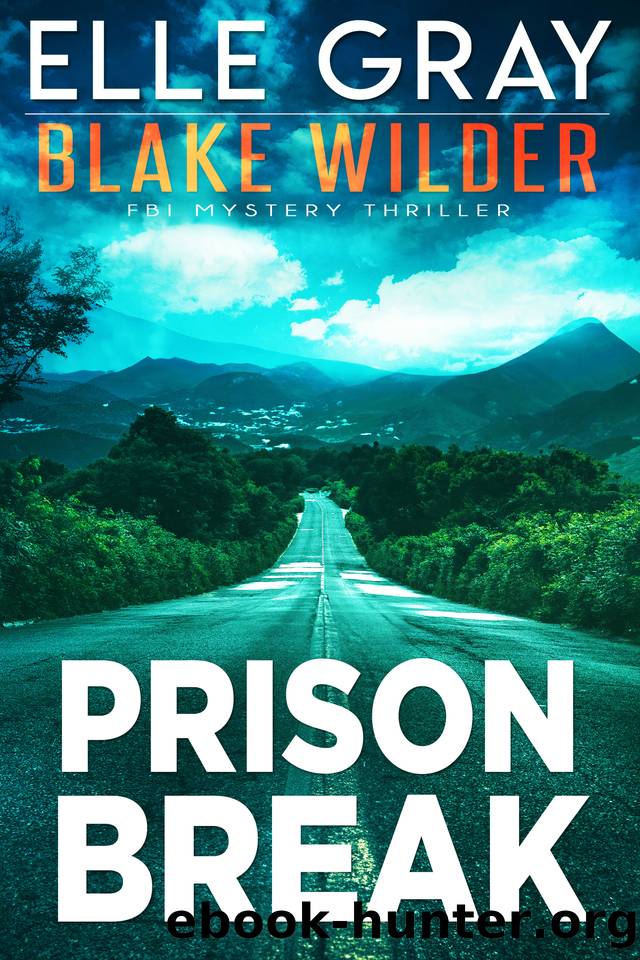 Prison Break (Blake Wilder FBI Mystery Thriller Book 24) by Elle Gray