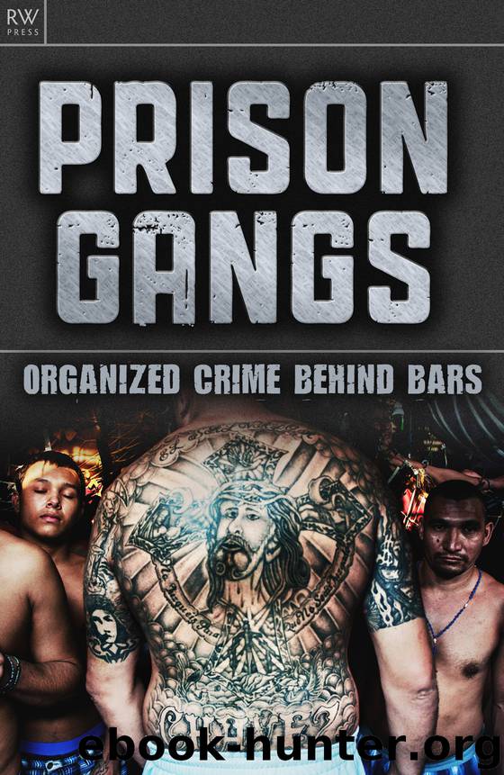 Prison Gangs by Walter Roberts