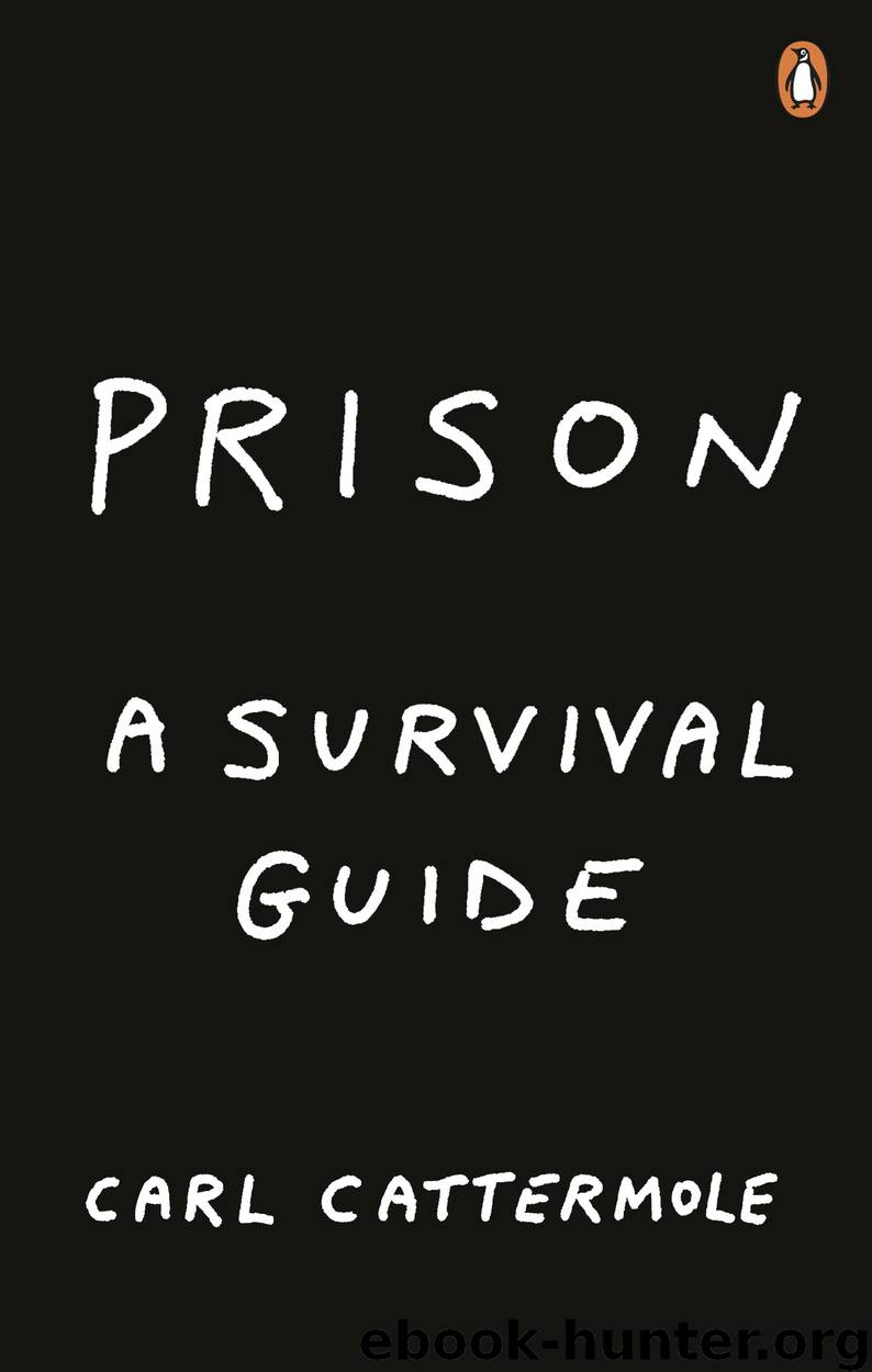 Prison by Carl Cattermole