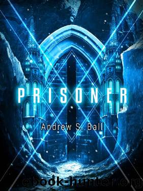 Prisoner (The Contractors Book 2) by Andrew Ball