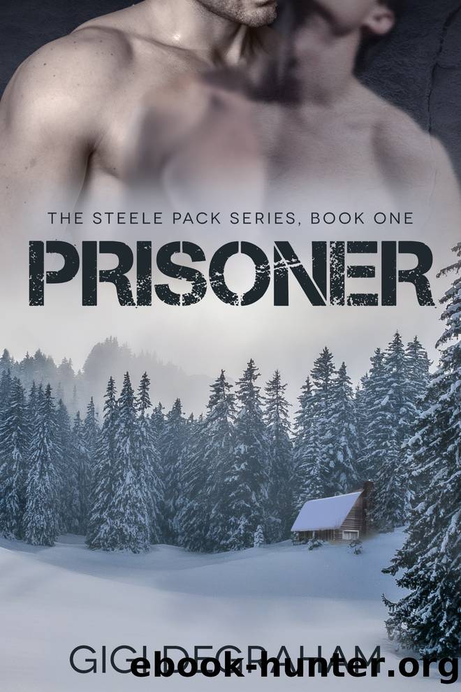 Prisoner by GiGi DeGraham