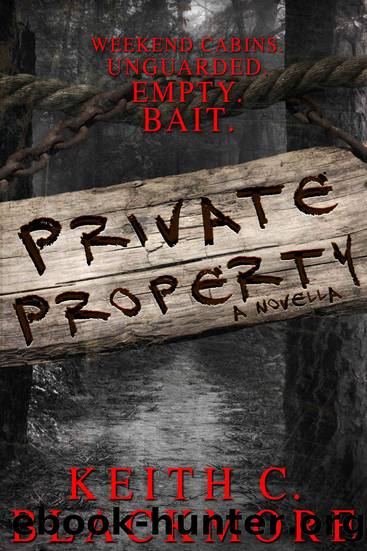 Private Property by Blackmore Keith C