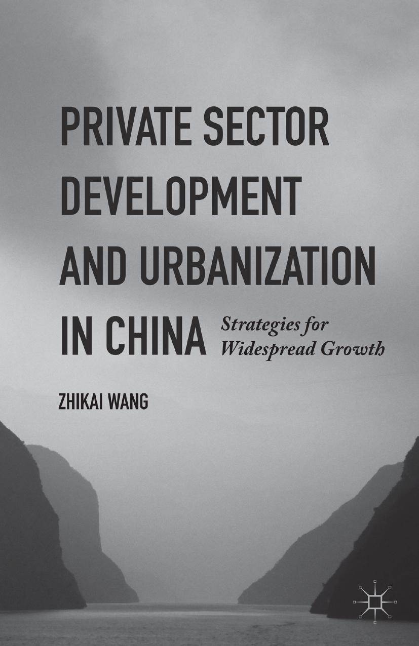 Private Sector Development and Urbanization in China: Strategies for Widespread Growth by Zhikai Wang (auth.)