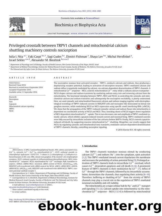 Privileged crosstalk between TRPV1 channels and mitochondrial calcium shuttling machinery controls nociception by unknow