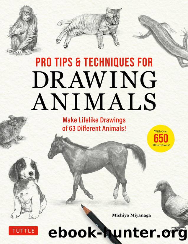 Pro Tips & Techniques for Drawing Animals by Michiyo Miyanaga