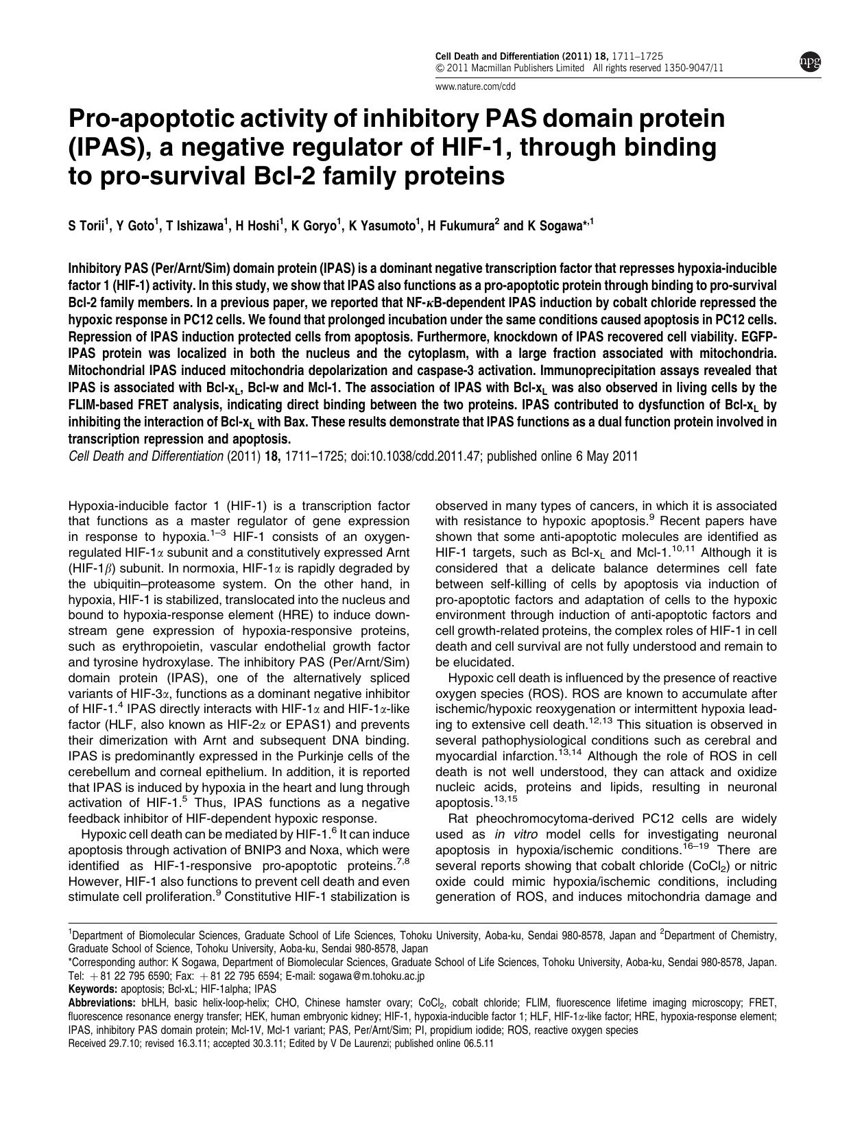 Pro-apoptotic activity of inhibitory PAS domain protein (IPAS), a negative regulator of HIF-1, through binding to pro-survival Bcl-2 family proteins by S Torii & Y Goto & T Ishizawa & H Hoshi & K Goryo & K Yasumoto & H Fukumura & K Sogawa