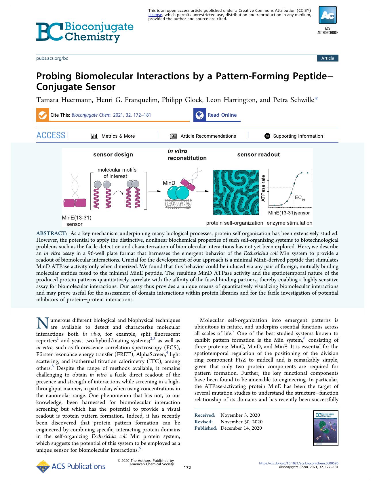 Probing Biomolecular Interactions by a Pattern-Forming PeptideâConjugate Sensor by Tamara Heermann; Henri G. Franquelim; Philipp Glock; Leon Harrington; Petra Schwille