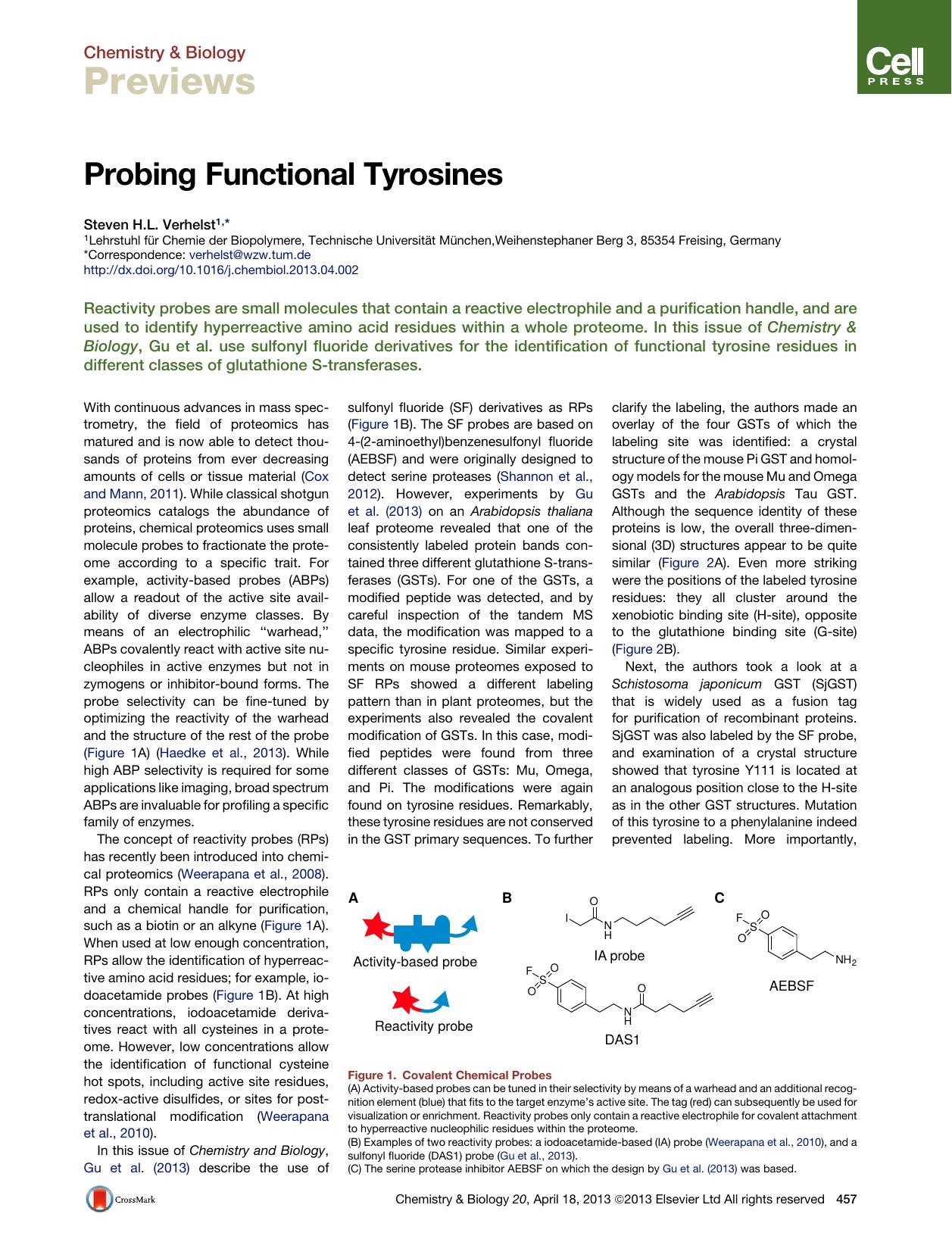 Probing Functional Tyrosines by Steven H.L. Verhelst
