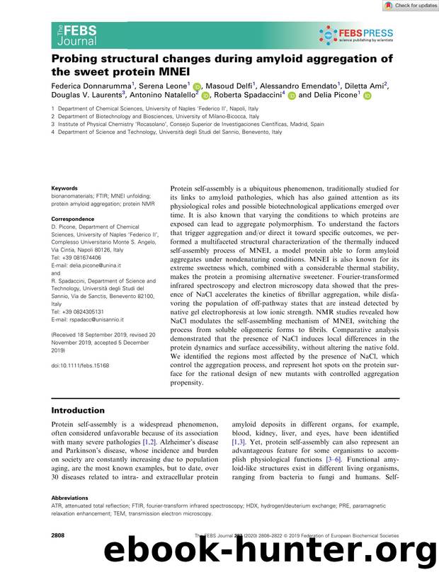Probing structural changes during amyloid aggregation of the sweet protein MNEI by Unknown