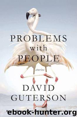 Problems with People: Stories by David Guterson