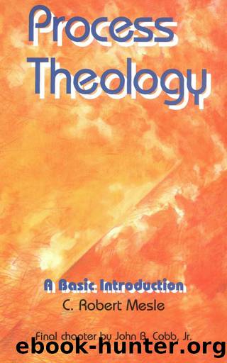 Process Theology: A Basic Introduction by Mesle Robert C