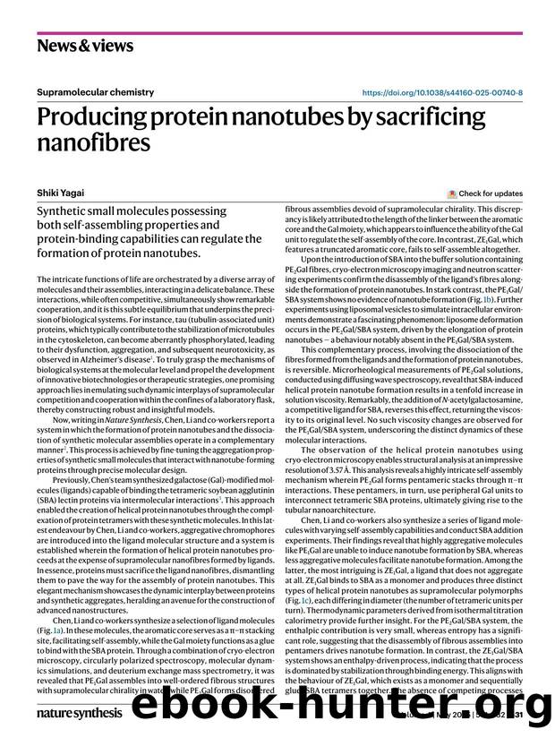 Producing protein nanotubes by sacrificing nanofibres by Shiki Yagai