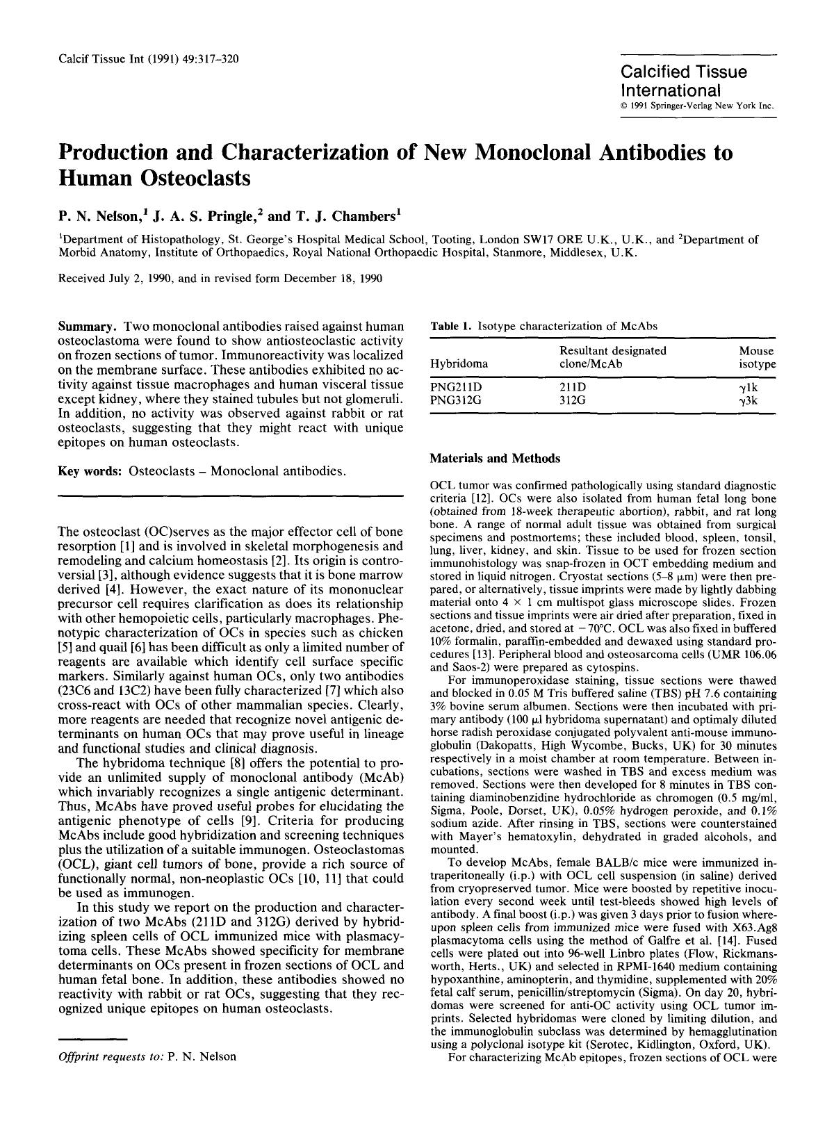 Production and characterization of new monoclonal antibodies to human osteoclasts by Unknown