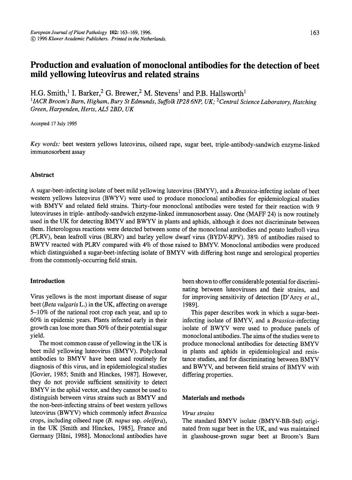 Production and evaluation of monoclonal antibodies for the detection of beet mild yellowing luteovirus and related strains by Unknown