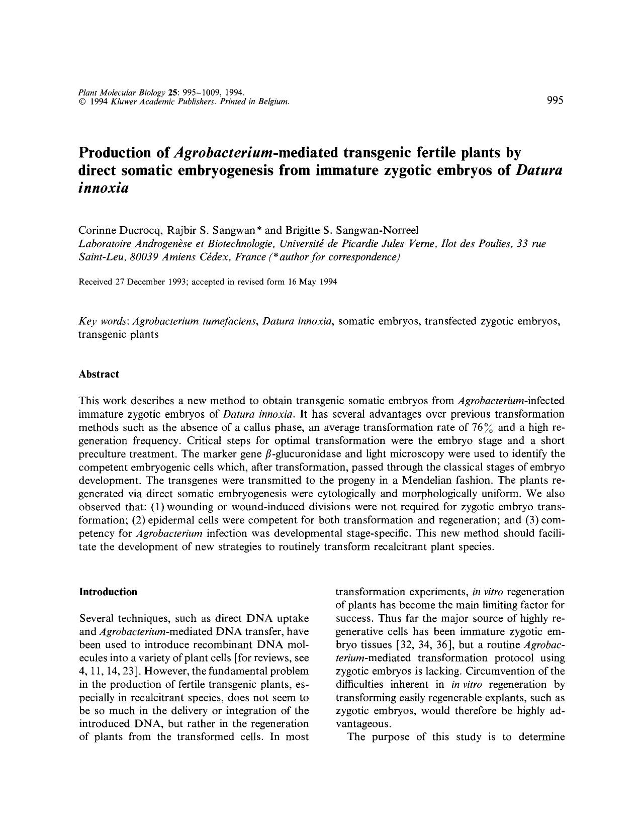 Production of <Emphasis Type="Italic">Agrobacterium <Emphasis>-mediated transgenic fertile plants by direct somatic embryogenesis from immature zygotic embryos of <Emphasis Type="I by Unknown
