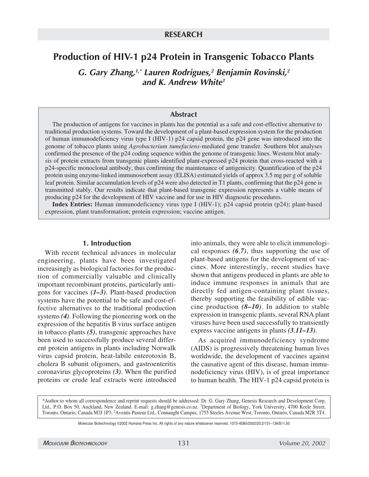 Production of HIV-1 p24 protein in transgenic tobacco plants by Unknown