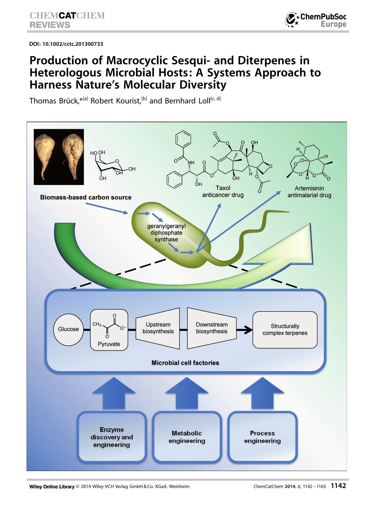 Production of Macrocyclic Sesqui and Diterpenes in Heterologous Microbial Hosts: A Systems Approach to Harness Natures Molecular Diversity by Unknown