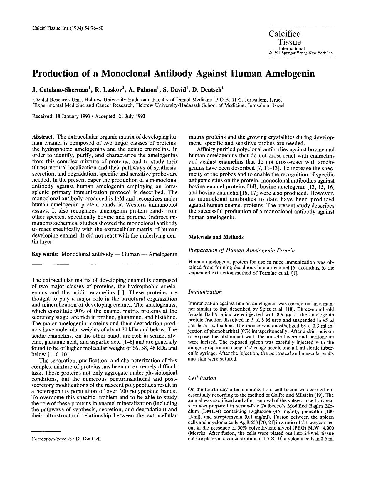 Production of a monoclonal antibody against human amelogenin by Unknown