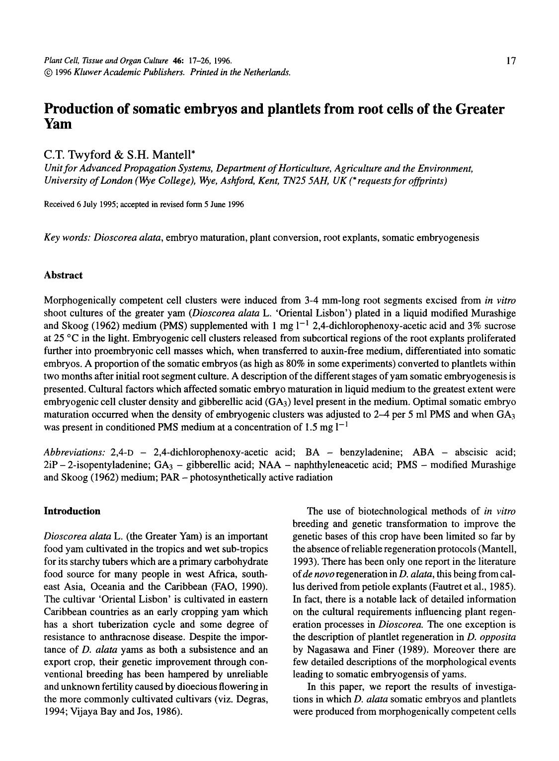 Production of somatic embryos and plantlets from root cells of the Greater Yam by Unknown