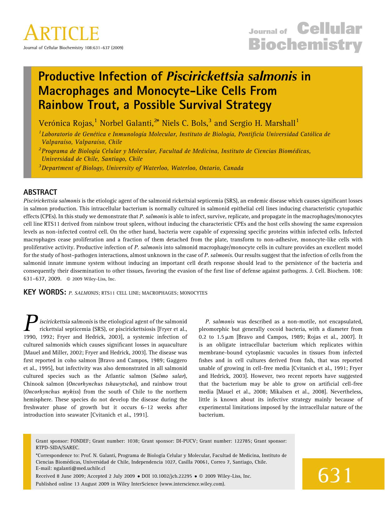 Productive infection of Piscirickettsia salmonis in macrophages and monocyte-like cells from rainbow trout, a possible survival strategy by Unknown