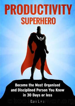 Productivity SuperHero: Become the Most Organised and Disciplined Person You Know in 30 Days or Less by Dan Luca