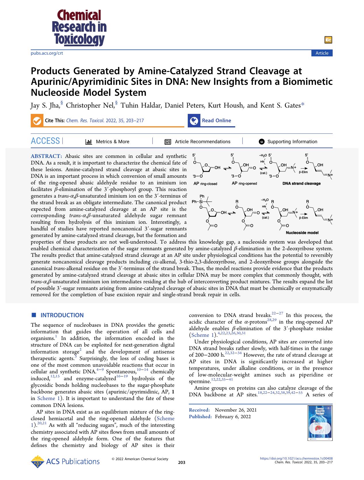 Products Generated by Amine-Catalyzed Strand Cleavage at ApurinicApyrimidinic Sites in DNA: New Insights from a Biomimetic Nucleoside Model System by Jay S. Jha Christopher Nel Tuhin Haldar Daniel Peters Kurt Housh and Kent S. Gates
