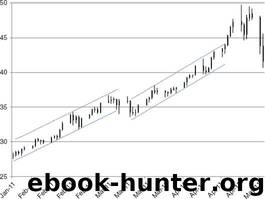 Professional Automated Trading: Theory and Practice (Wiley Trading) by Durenard Eugene A
