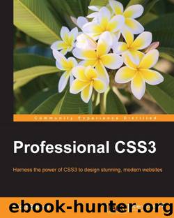Professional CSS3 by 2016