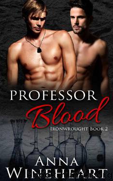 Professor Blood (Ironwrought Book 2) by Anna Wineheart
