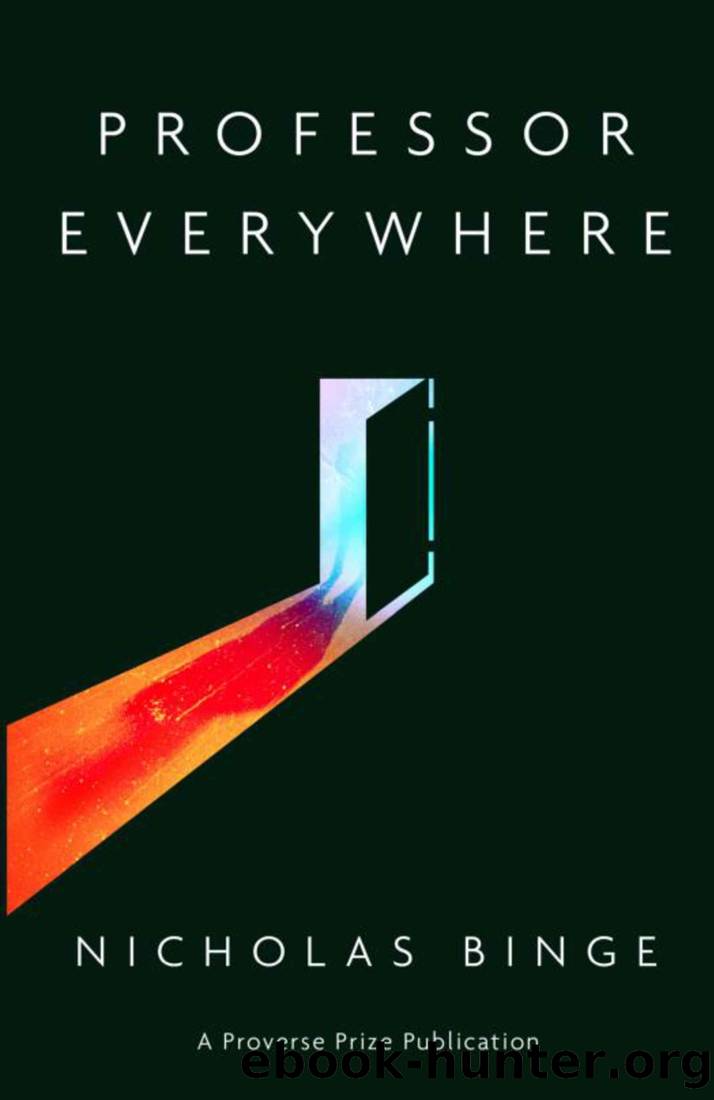 Professor Everywhere (Proverse Prize Publications) by Nicholas Binge