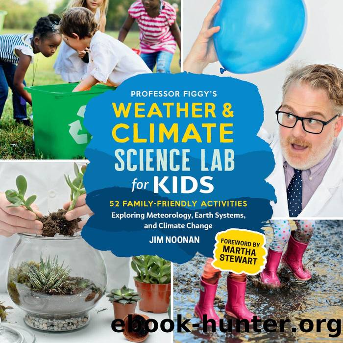 Professor Figgy's Weather and Climate Science Lab for Kids by Jim Noonan